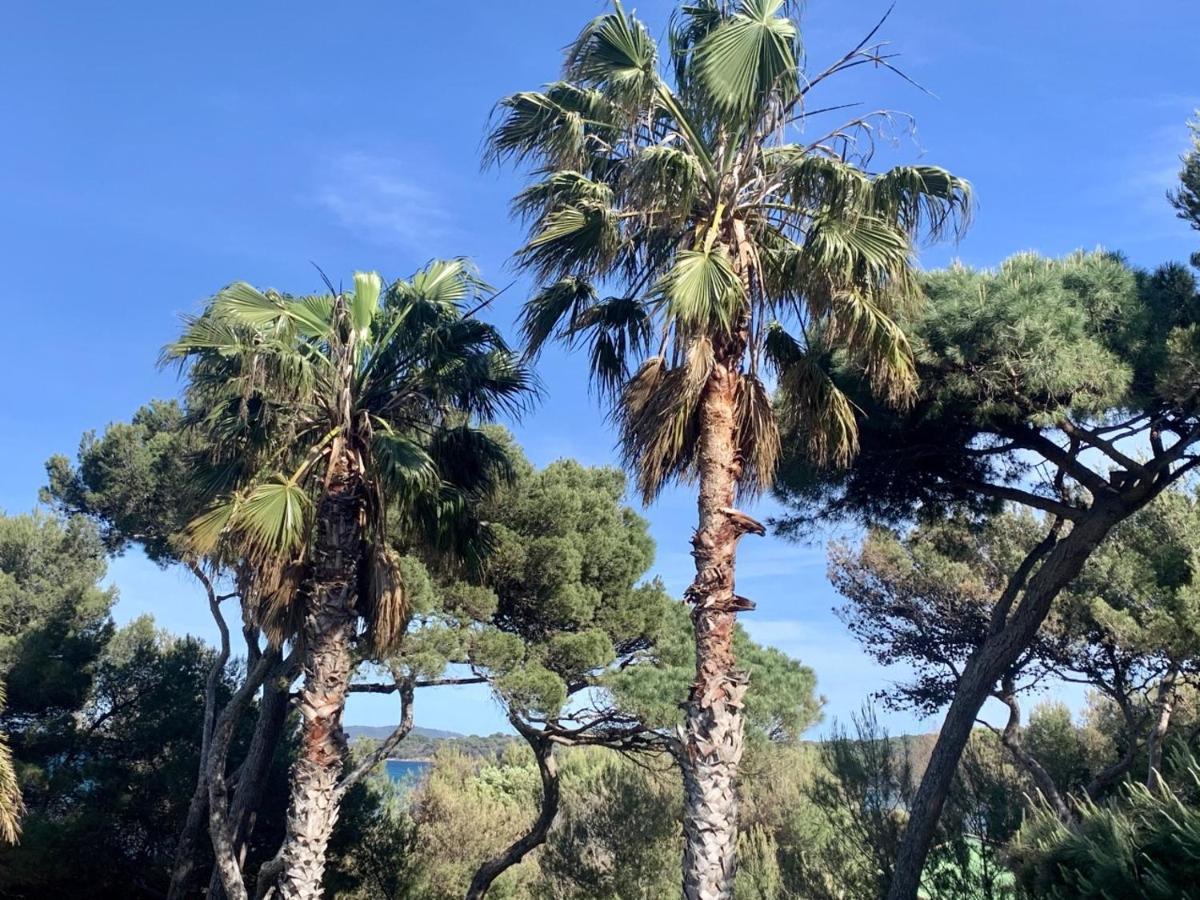 Bergerie plage Hyères Buitenkant foto